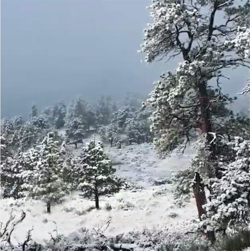 Screenshot of fresh snow falling