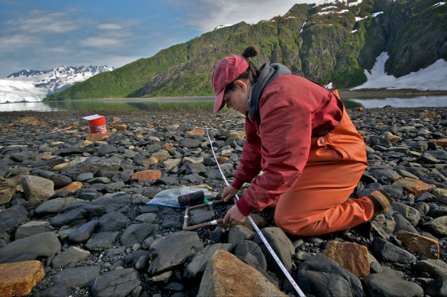 monitoring mussel beds