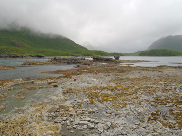 kaflia bay in 2012 kaflia bay in 2012
