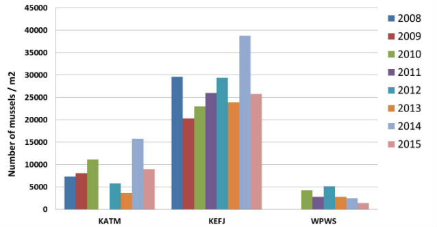 figure of density of small mussels in absolute numbers