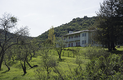 view of orchards and house