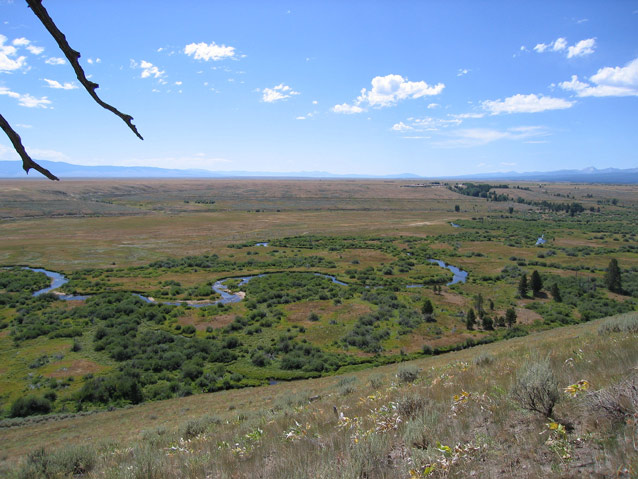 A narrow river weaves through a flat landscape of low vegetation, seen from high on a hillside.