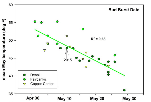 graph showing that bud burst occurs more frequently with warmer temperatures graph showing that bud burst occurs more frequently with warmer temperatures