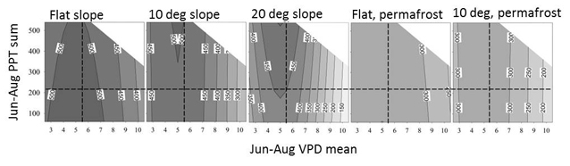 a graph showing the radial growth of white spruce