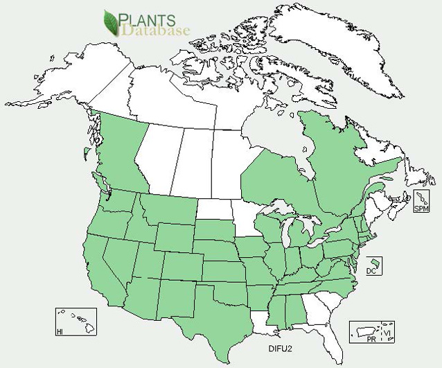 Distribution map for common teasel