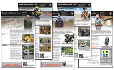 A collection of site bulletins A collection of site bulletins