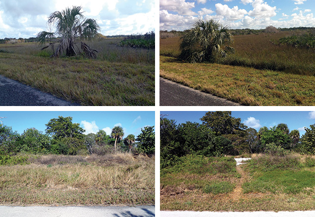 Two pairs of photos at Everglades comparing degree of impact to sites as a result of geocaching