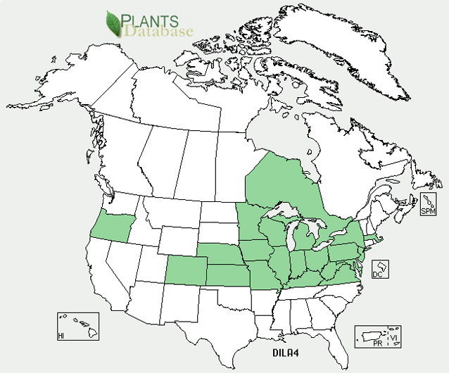 Distribution map for cutleaf teasel