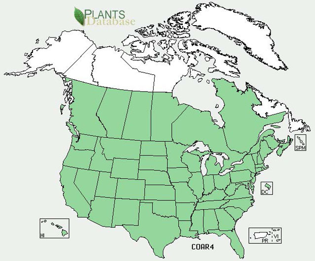 Distribution map for field bindweed