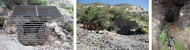 Composite of three photos showing bat gates on mine openings