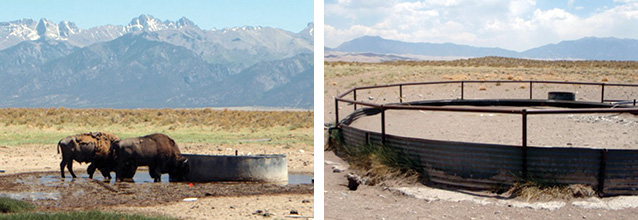Comparison of an open well on Zapata Ranch and a capped well at Great Sand Dunes NP