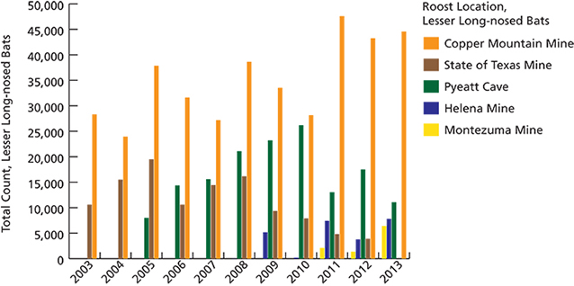 Bar graph showing number of lesser long-nosed bats roosting at five locations from 2003-2013