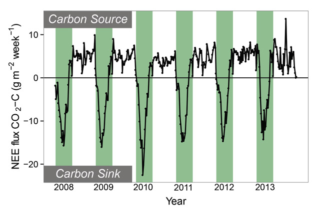 graph showing the Net Ecosystem Exchange of CO2 at Eight Mile Lake