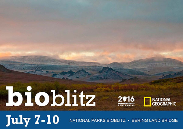 Bering Land Bridge BioBlitz Save the Date Postcard