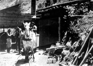 Black and white photo of a horse next to a mine Black and white photo of a horse next to a mine