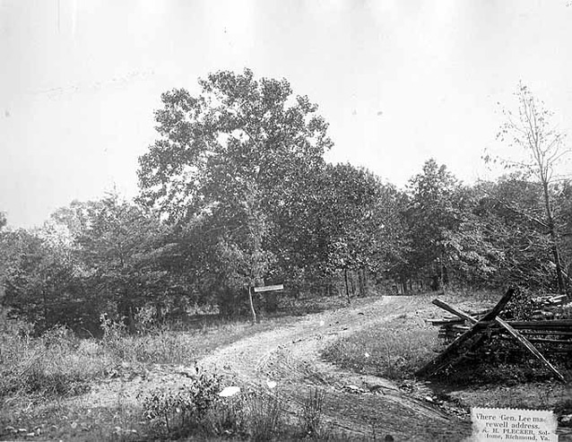 A leafy tree grows beside a winding dirt road in a grainy black and white image. 