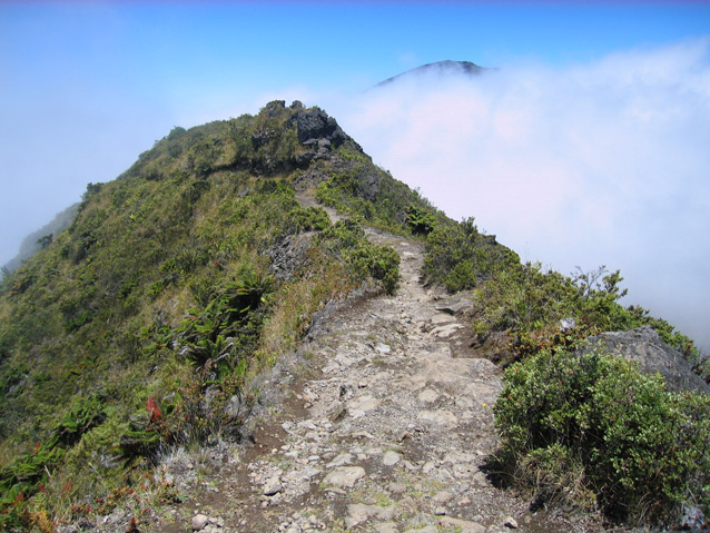 A narrow, rough trail follows the peak of a ridge above the clouds. A narrow, rough trail follows the peak of a ridge above the clouds.