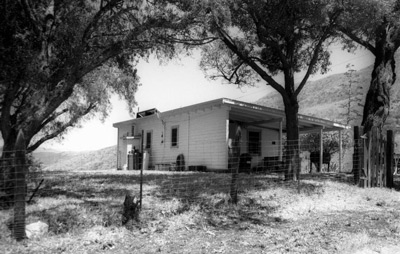 A modest, white ranch house is surrounded by leafy trees and a thin wire fence. 