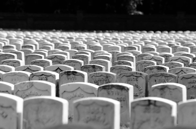 A view over the tops of white headstones, the rows stacked like fish scales A view over the tops of white headstones, the rows stacked like fish scales