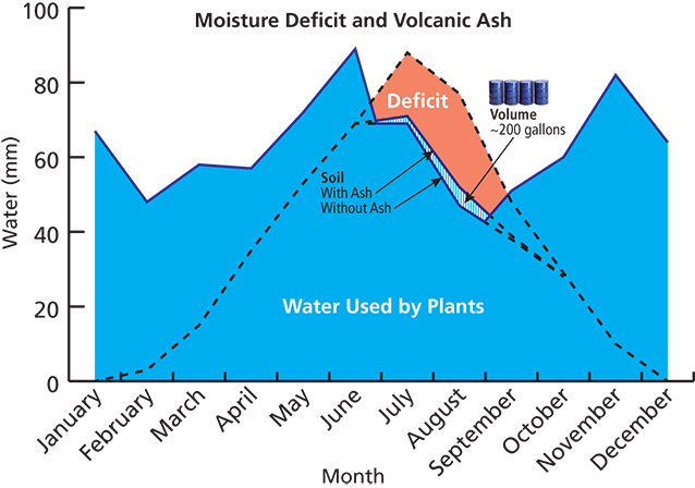 Monthly water use by plants at Glacier National Park relative to soils with and without volcanic ash