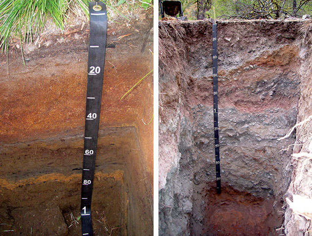 Photo pair showing soil profiles at Mount Rainier (left) and Lassen Volcanic (right) National Parks