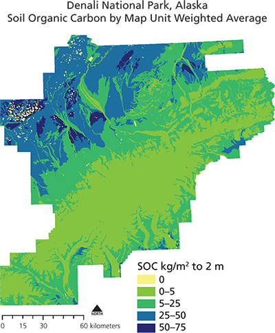 Map showing soil organic carbon stocks at Denali National Park and Preserve Map showing soil organic carbon stocks at Denali National Park and Preserve