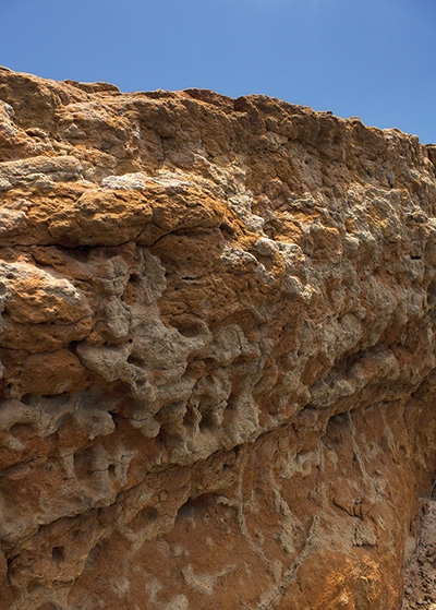Fossil soils at Cabrillo National Monument reveal marine deposits Fossil soils at Cabrillo National Monument reveal marine deposits