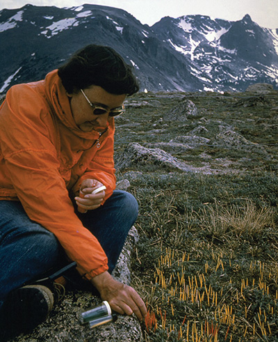 A researcher marks plants in 1961 in the alpine tundra of Rocky Mountain National Park A researcher marks plants in 1961 in the alpine tundra of Rocky Mountain National Park