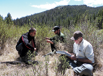 Scientists measure willow plants on the elk winter range in Rocky Mountain National Park