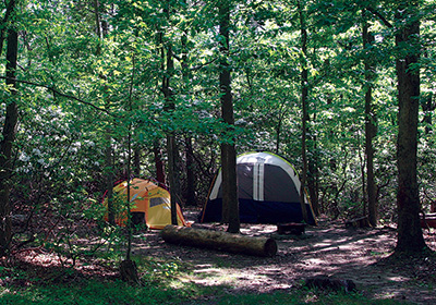 Tent camping at Greenbelt Park, Maryland