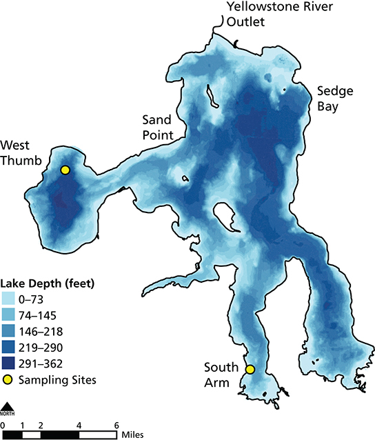 Map of Yellowstone Lake showing the study sites and bathymetry