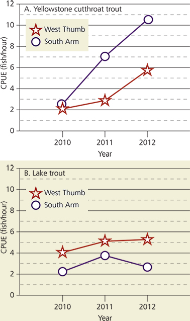 Graphs showing catch per unit effort of cutthroat trout (left) and lake trout (right) Graphs showing catch per unit effort of cutthroat trout (left) and lake trout (right)