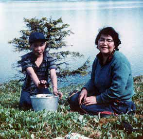 alaska native woman and child putting gull eggs into a metal pail