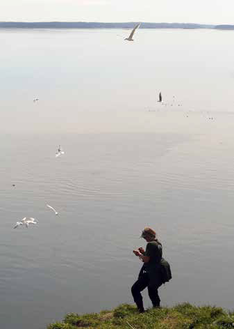 woman taking notes as gulls fly overhead