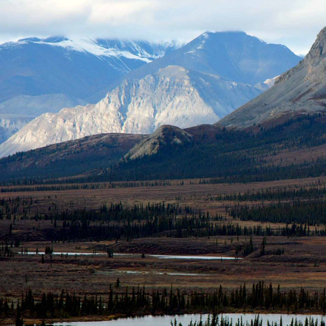 landscape of spruce forests and mountains landscape of spruce forests and mountains