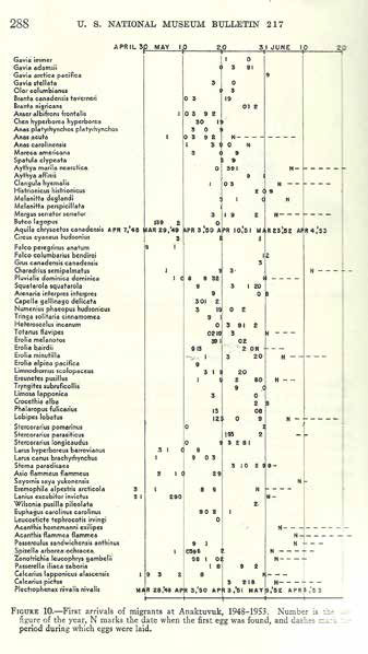 typewritten list of birds and phenomonological data
