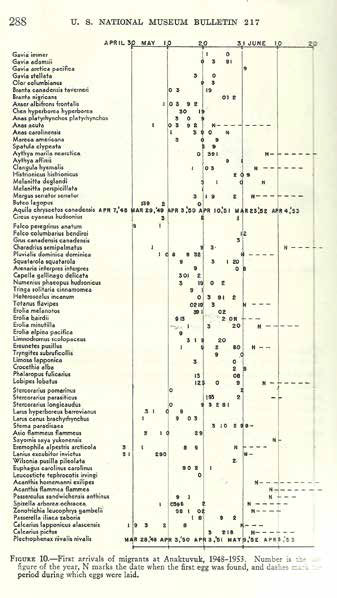 typewritten list of birds and phenomonological data typewritten list of birds and phenomonological data