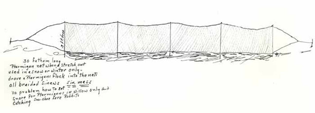 drawing of a wide net to catch birds drawing of a wide net to catch birds