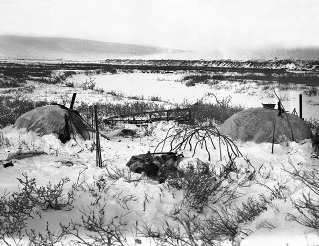 A caribou skin winter tent A caribou skin winter tent