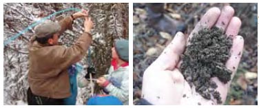 Students measuring active layer depth. Students measuring active layer depth.