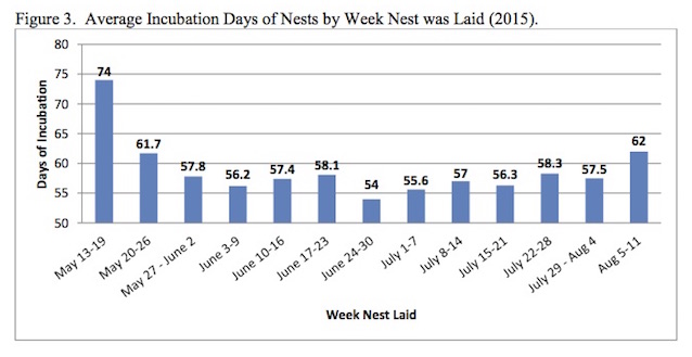 Figure 3. Average Incubation Days of Nests by Week Nest was Laid (2015). Figure 3. Average Incubation Days of Nests by Week Nest was Laid (2015).