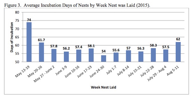 Figure 3.  Average Incubation Days of Nests by Week Nest was Laid (2015).