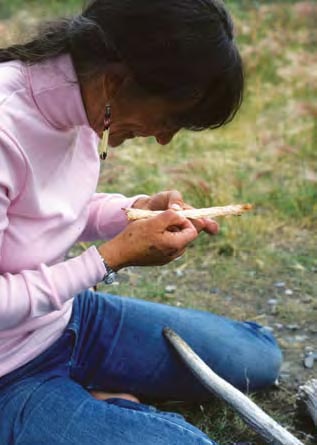 An archeologist softening a tendon.