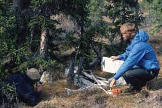 An archaeologist at a site. 