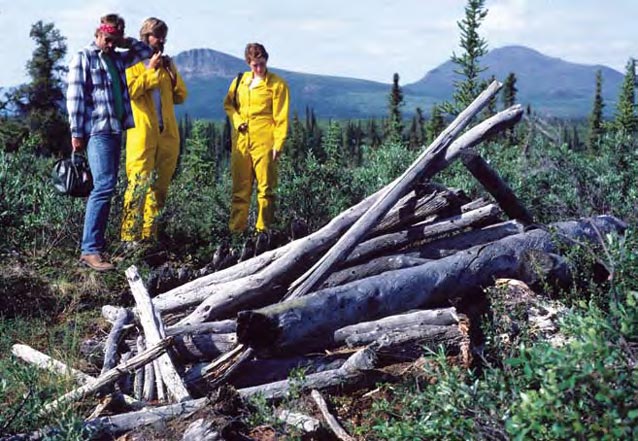 Archaeologists documenting a cabin.