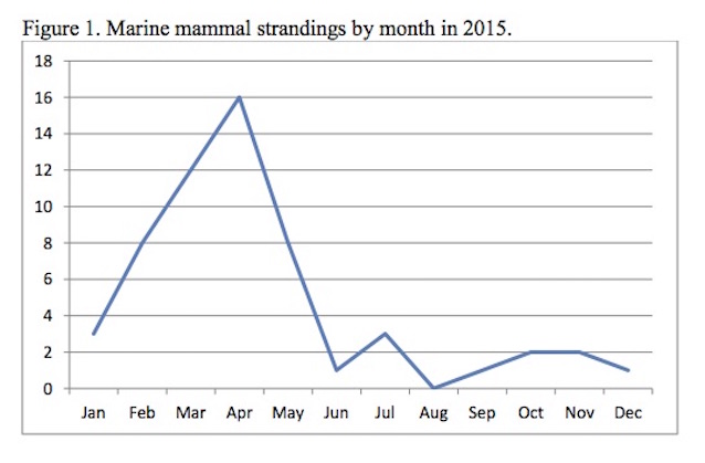Figure 1. Marine mammal strandings by month in 2015.