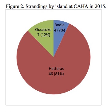 Figure 2. Strandings by island at CAHA in 2015.