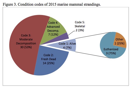 Figure 3. Condition codes of 2015 marine mammal strandings. Figure 3. Condition codes of 2015 marine mammal strandings.