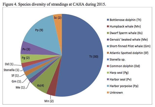 Figure 4. Species diversity of strandings at CAHA during 2015.