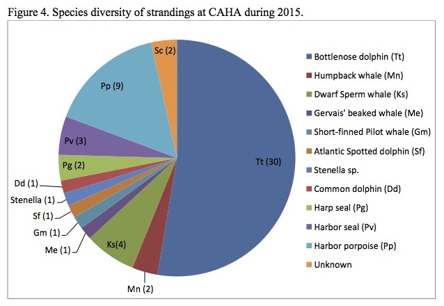Figure 4. Species diversity of strandings at CAHA during 2015. Figure 4. Species diversity of strandings at CAHA during 2015.
